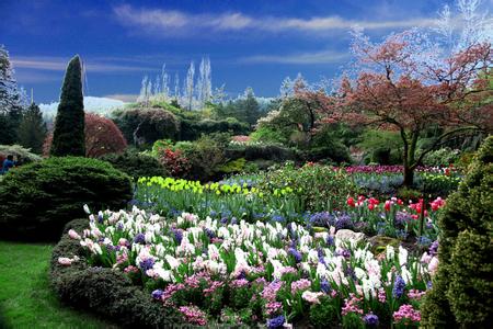 温哥华+西雅图2日顺道游