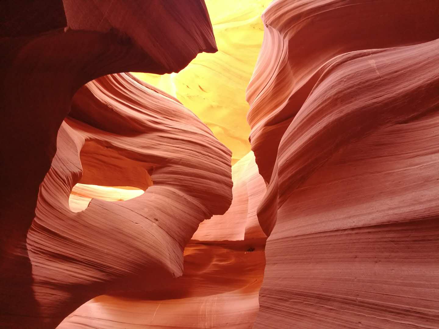 202001191905350065