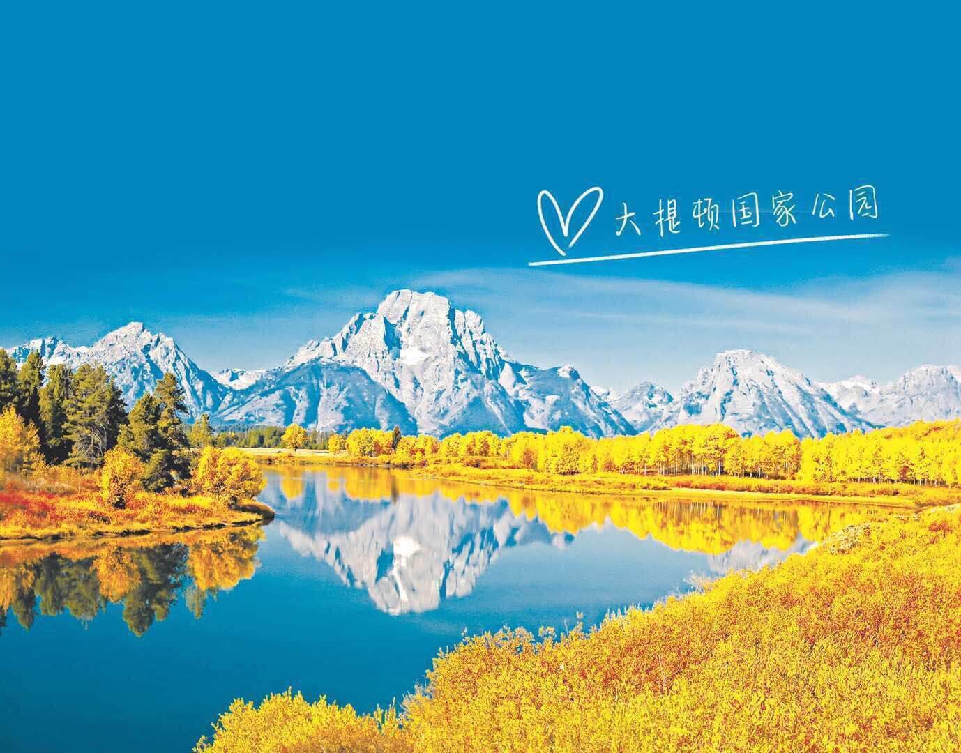 202002191556058228