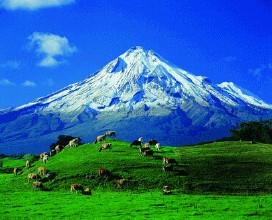 新西兰北岛2日中土风情之旅*6人成团