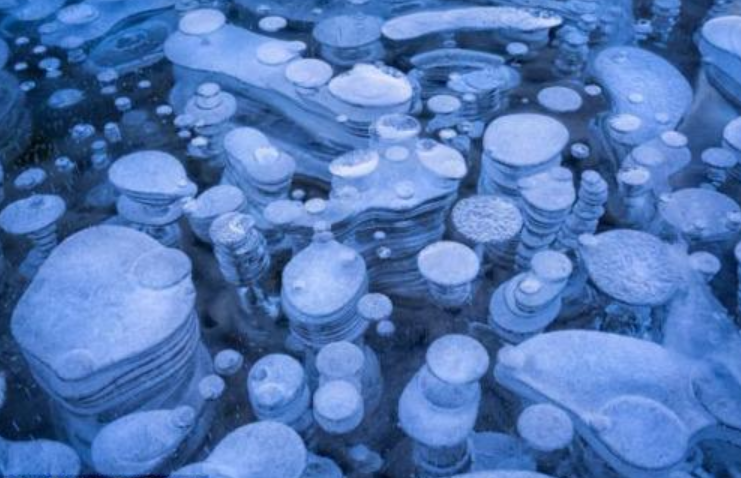 冰雪奇圆1日游