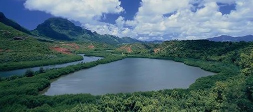 夏威夷可爱岛